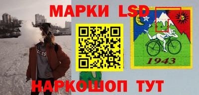 СК Краснознаменск