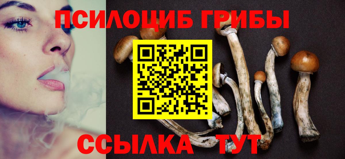 Псилоцибиновые грибы Cubensis Ирбит