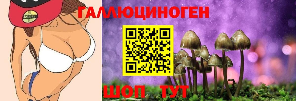 Ирбит  Псилоцибиновые грибы Cubensis  Вход с VPN  Псилоцибиновые грибы Cubensis 